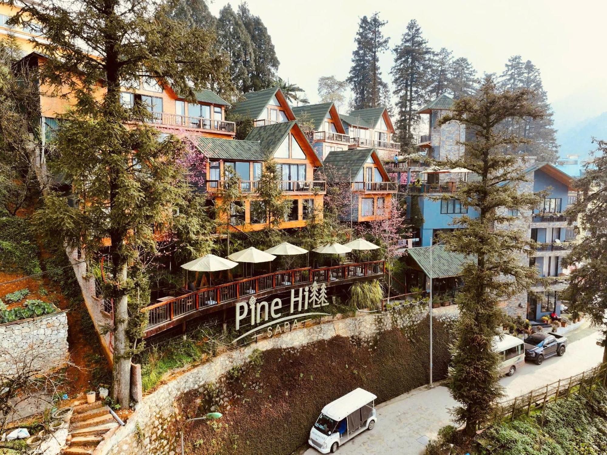 Pine Hill Eco