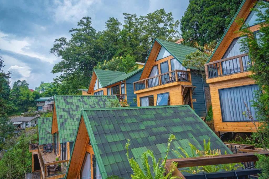 Lodge Pine Hill Eco *