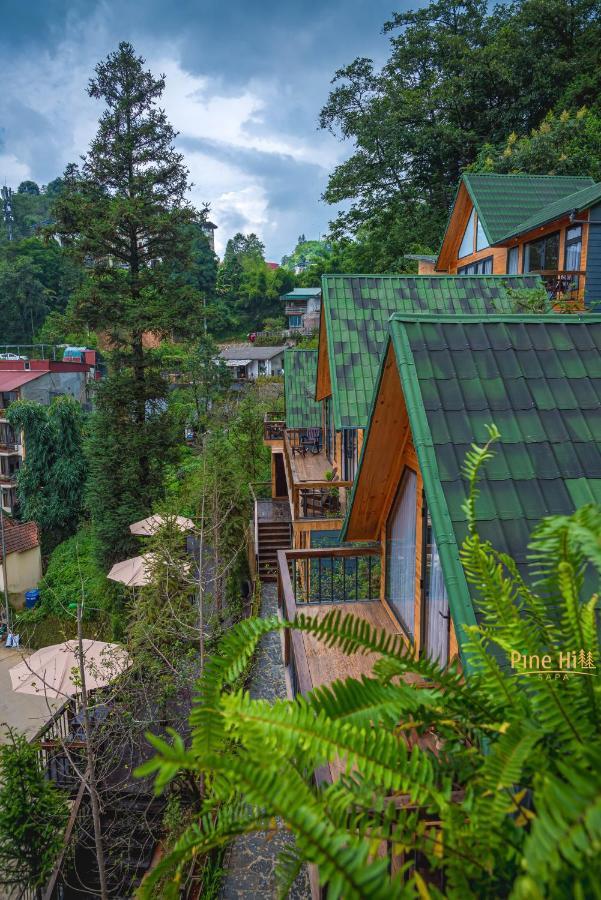 Pine Hill Eco