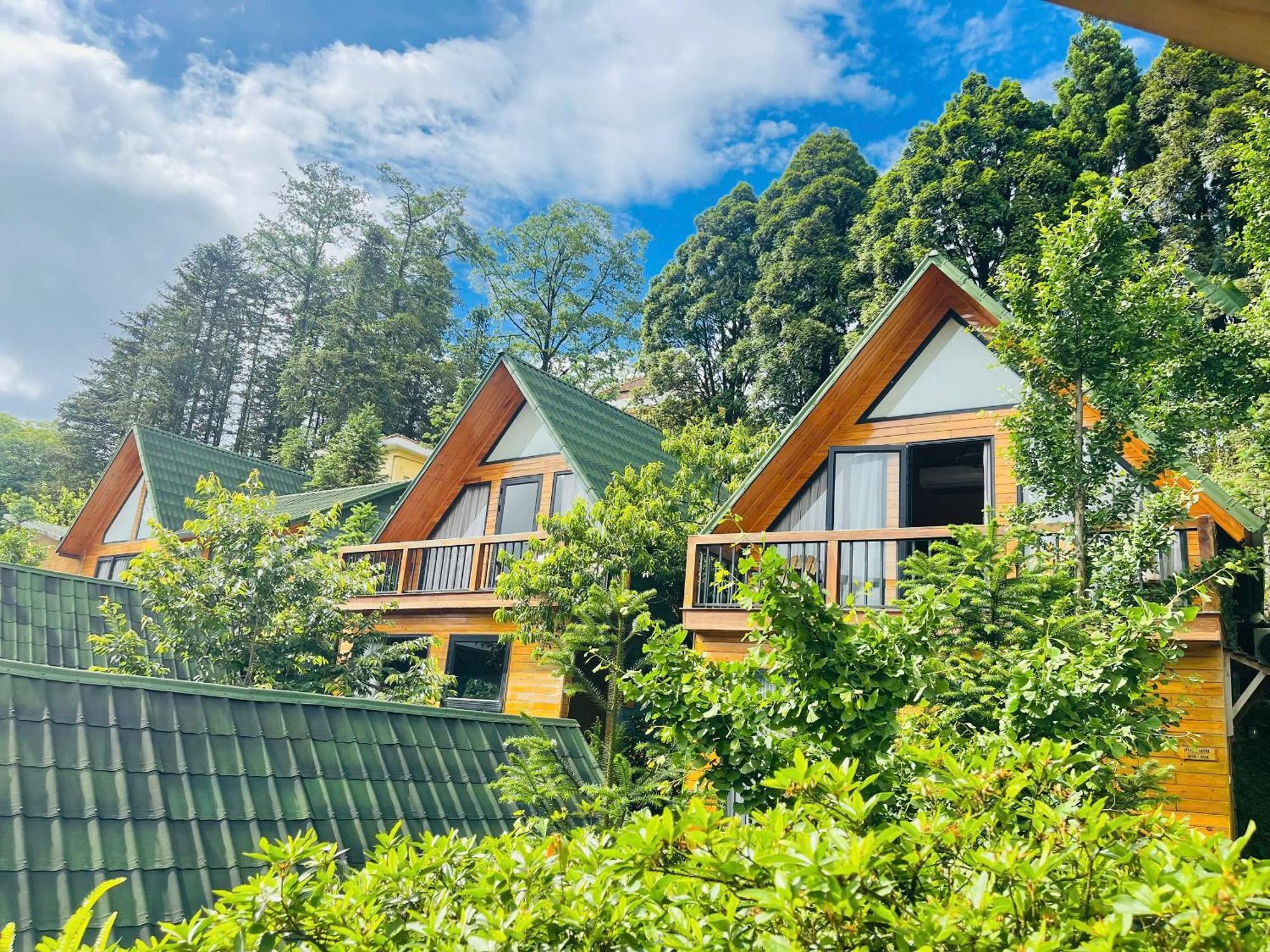 Pine Hill Eco *
