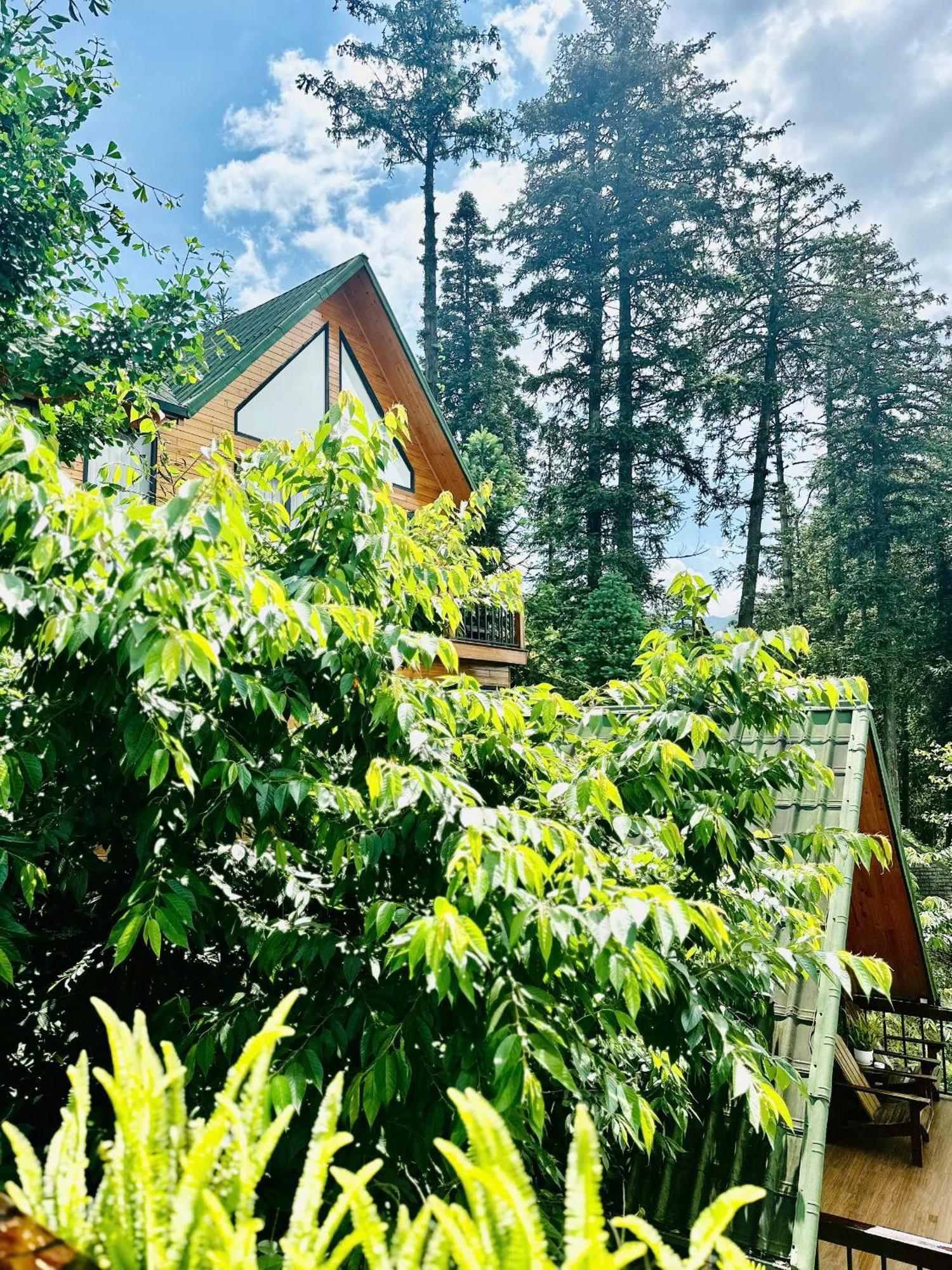 Pine Hill Eco Lodge