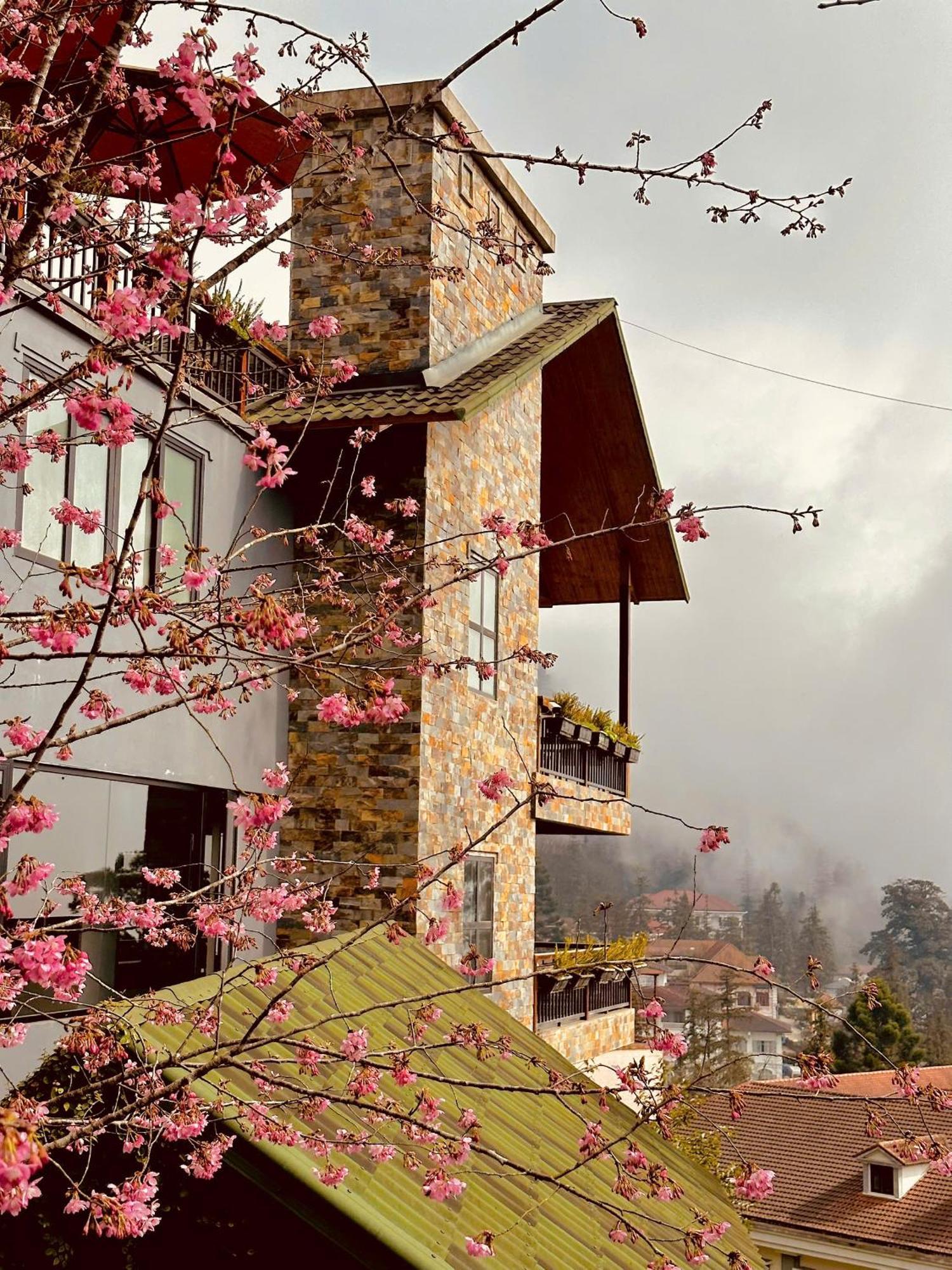 Lodge Pine Hill Eco