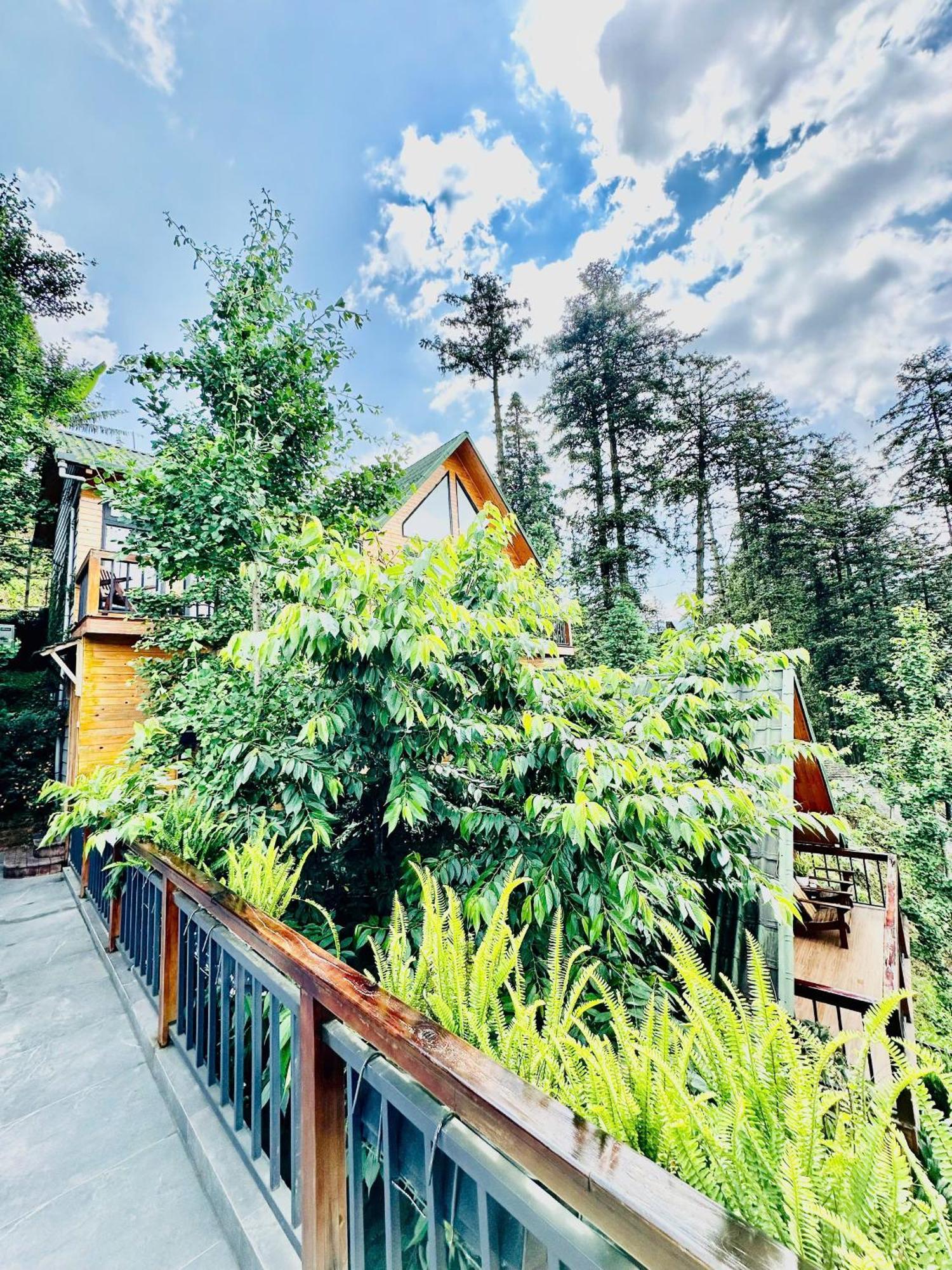 Pine Hill Eco Lodge *