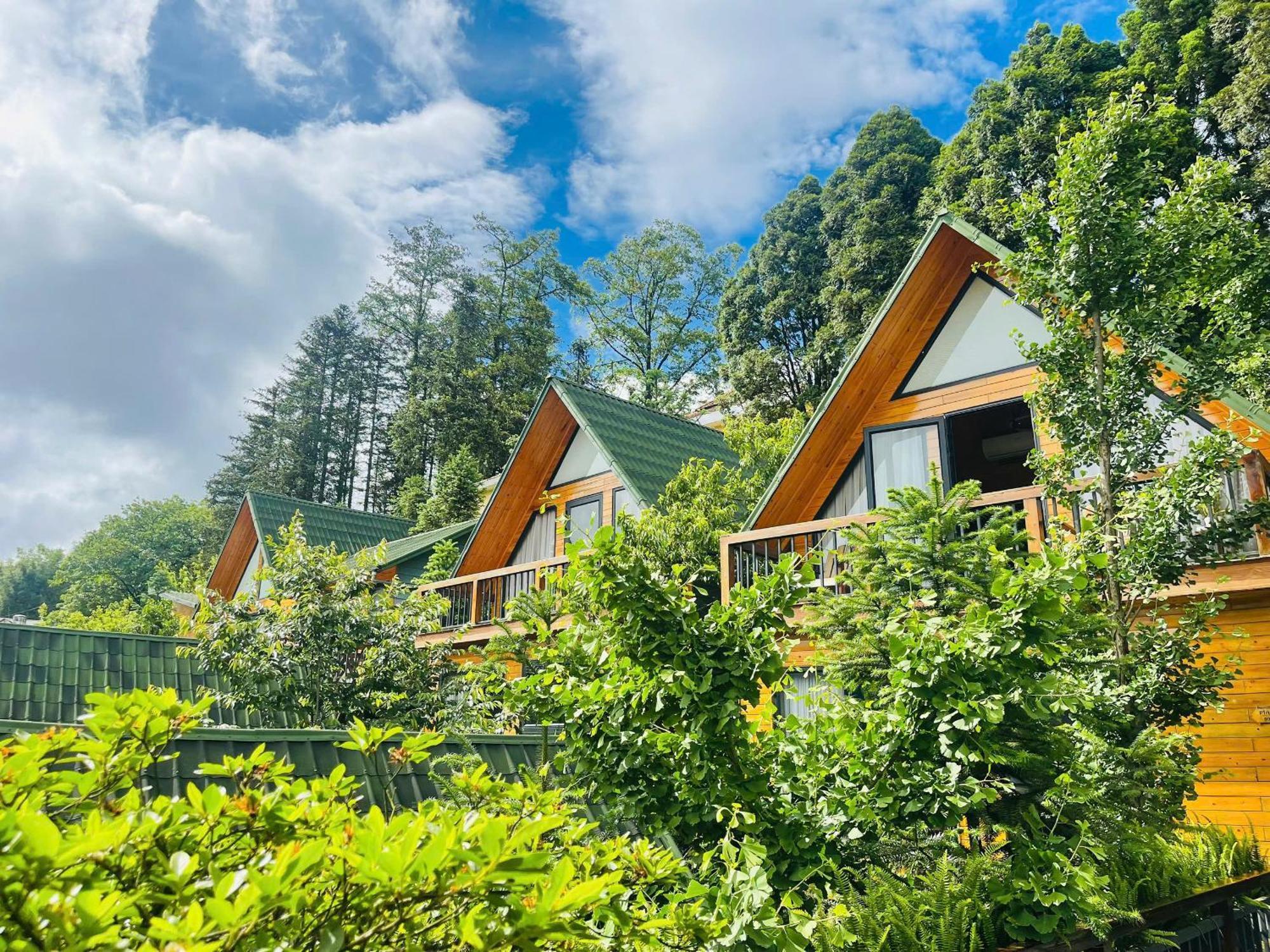 Pine Hill Eco * Sa Pa