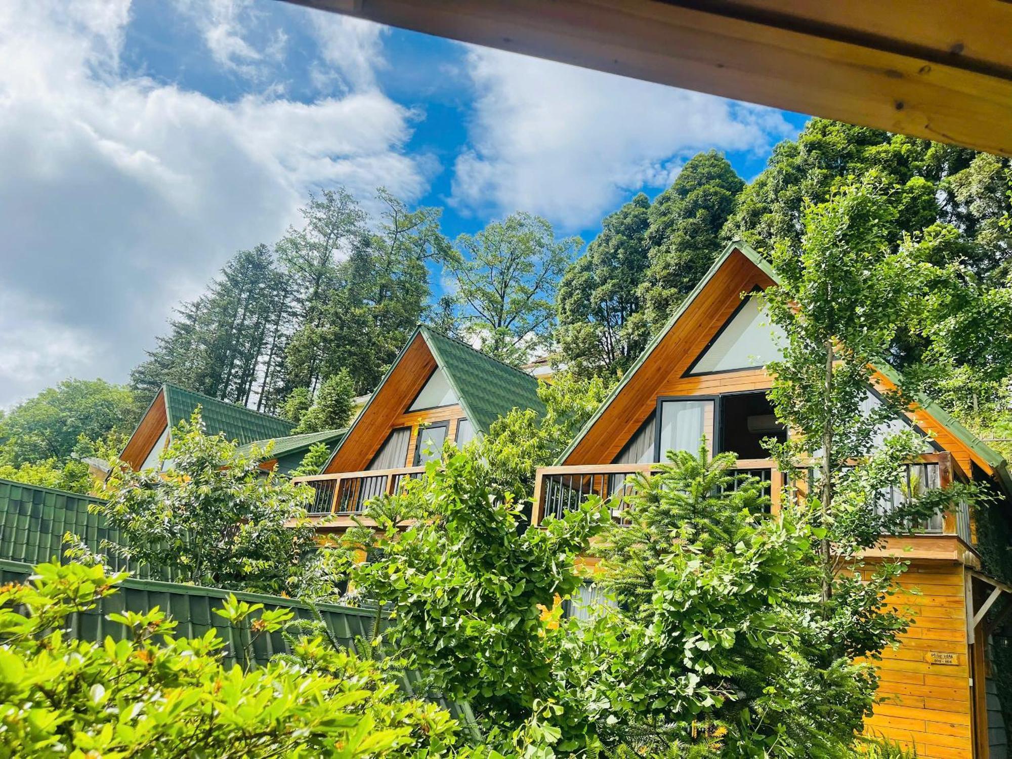 Pine Hill Eco