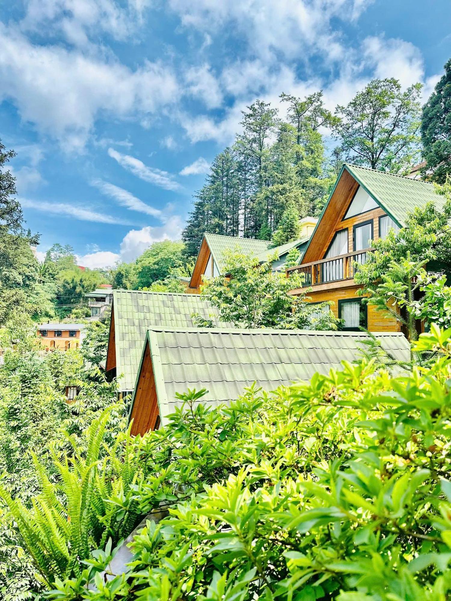Pine Hill Eco Lodge Sa Pa